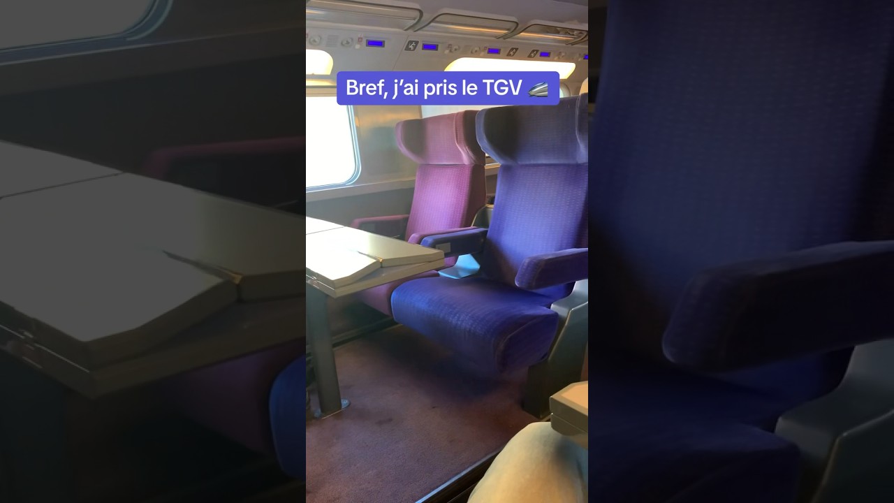 Bref, j’ai pris le TGV 🚄 #shortswithzita #shorts #tgv