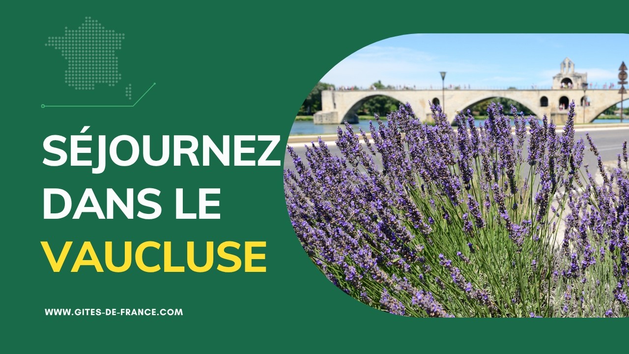 Escapade dans le Vaucluse : Avignon, Villages & Séjours de Charme
