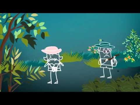 QUELLES SONT LES RESPONSABILITES D’UNE AGENCE DE VOYAGE ?