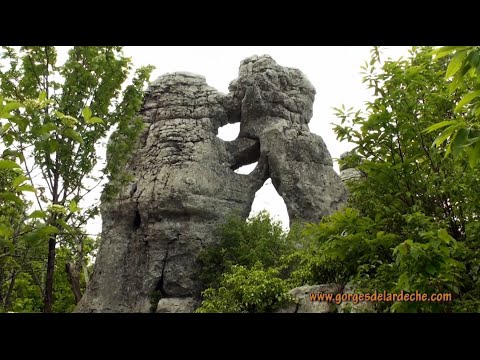 Ardèche - Bois de paiolive