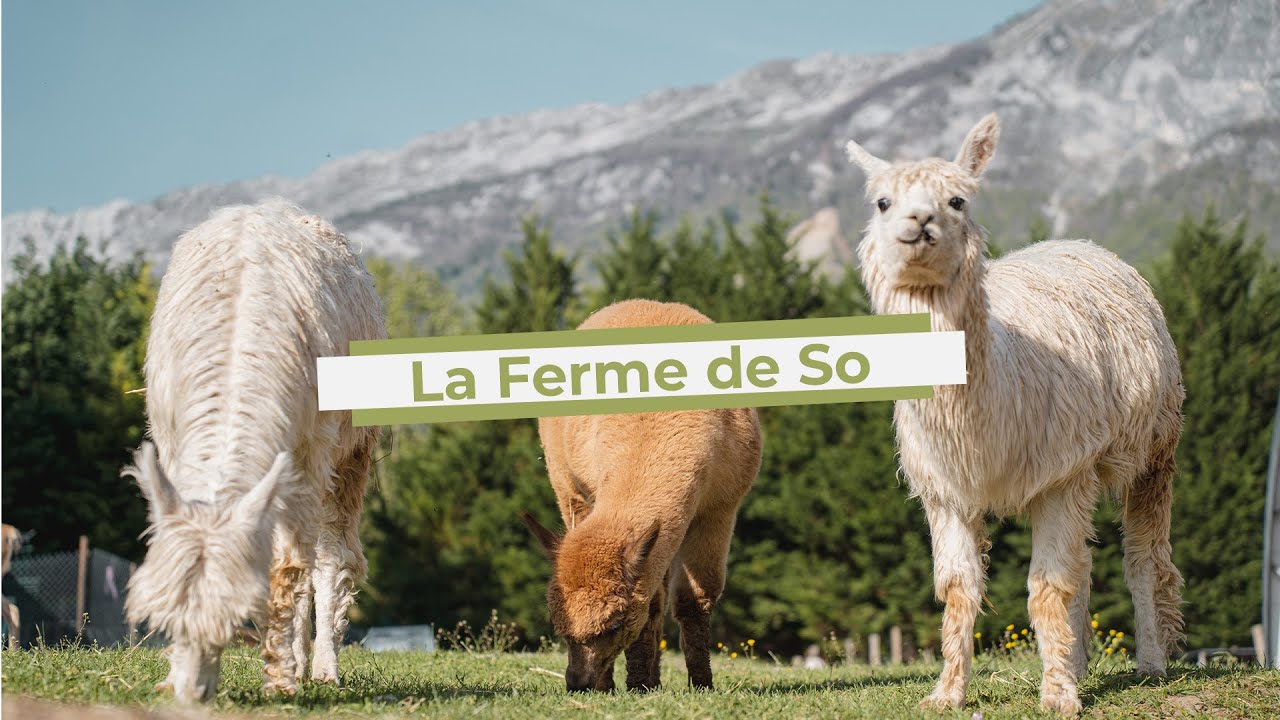 La Ferme de So - Découvrez La Ferme Pédagogique