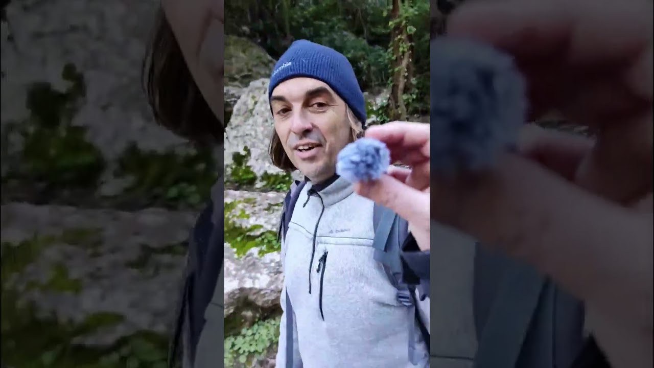 La Fontaine de Vaucluse, rivière surgie de nul part !
