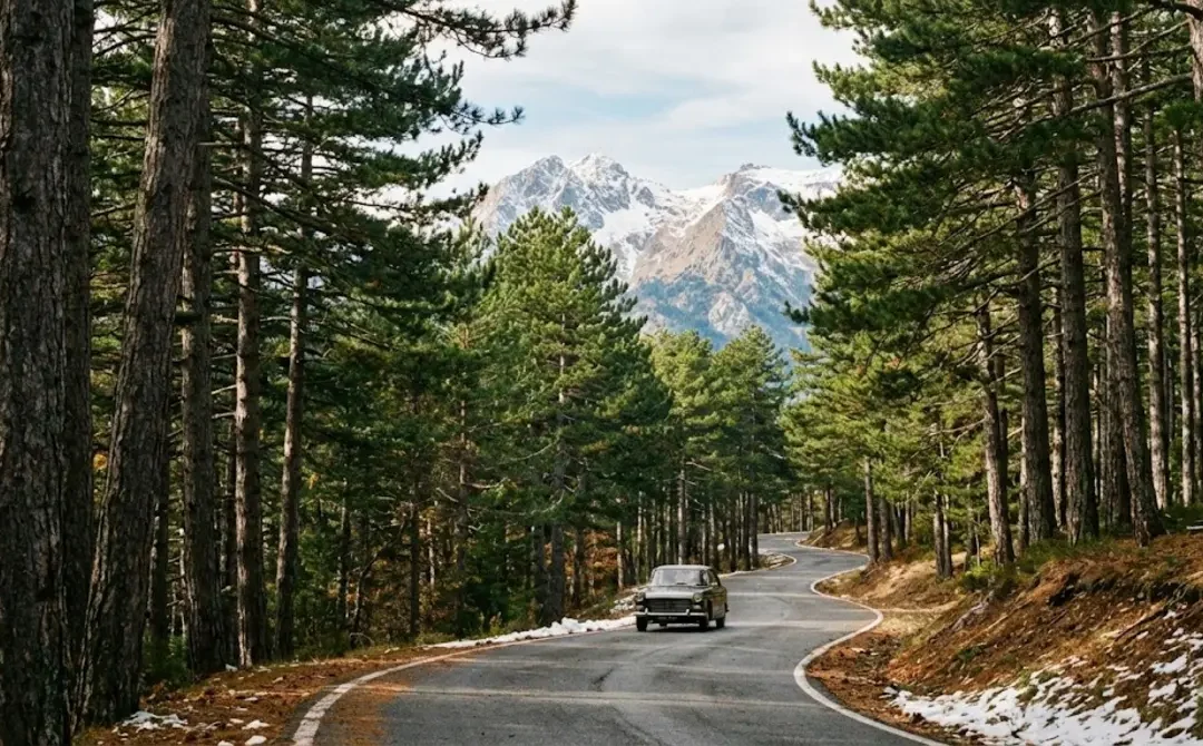 Camera Vizzavona : suivre en direct les conditions au col de Vizzavona en Corse