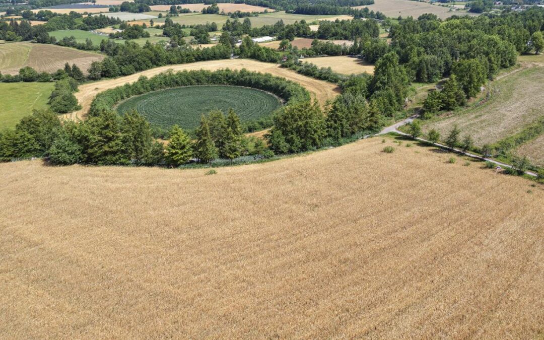découvrez si vous pouvez voyager de la réunion à mayotte en bateau, avec toutes les informations pratiques et les tarifs pour préparer votre voyage en toute sérénité.